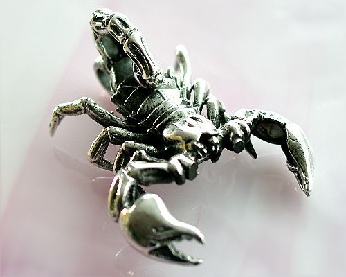 Skorpion anhänger silber 925 - anhänger,
